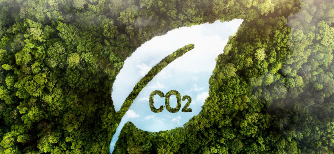 vista-aerea-de-unbosque-con-lago-con-forma-de-hoja-en-el-medio-con-la-palabra-co2-en-el-agua