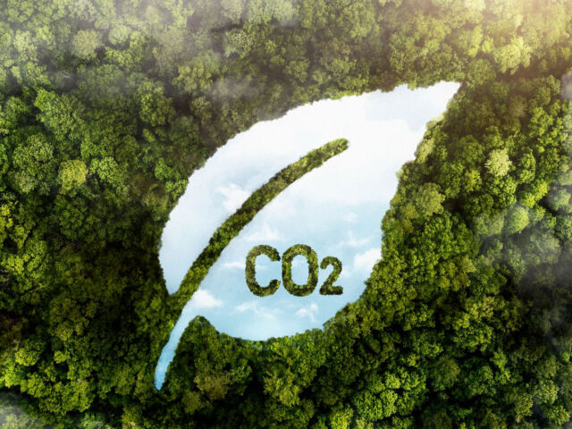 vista-aerea-de-unbosque-con-lago-con-forma-de-hoja-en-el-medio-con-la-palabra-co2-en-el-agua